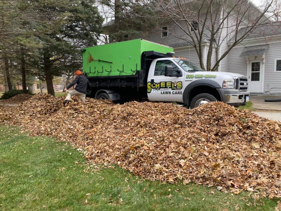 img-07 leaf cleanup