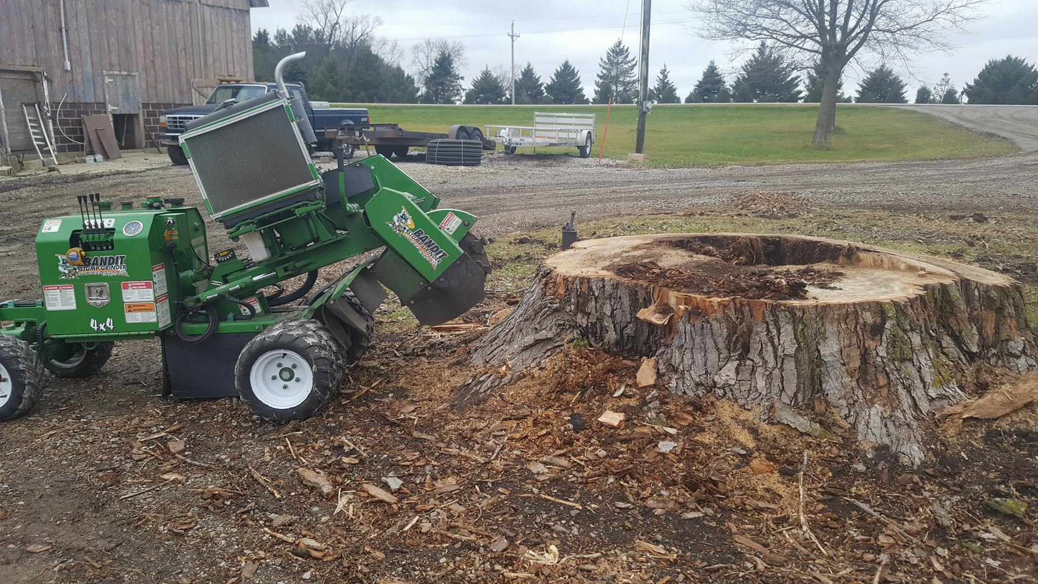 stump grinding