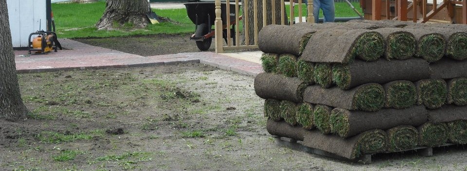 pallet of sod